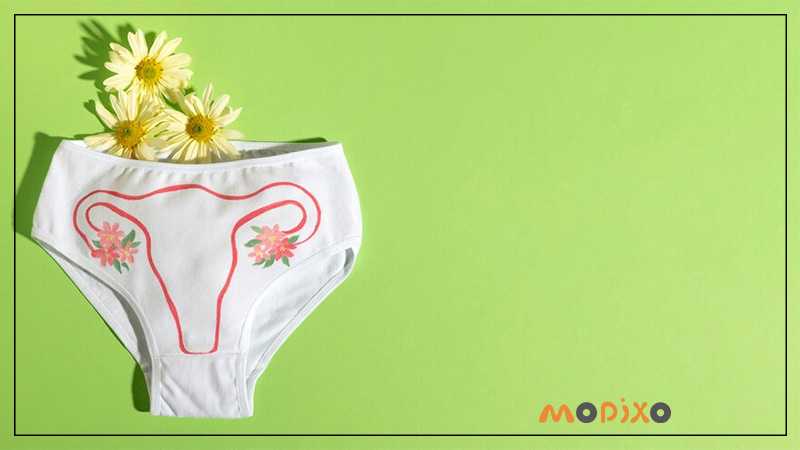 ویژگی های شورت مناسب ایام پریودی؟