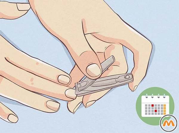 هر دو هفته یکبار ناخنهای خود را کوتاه کنید