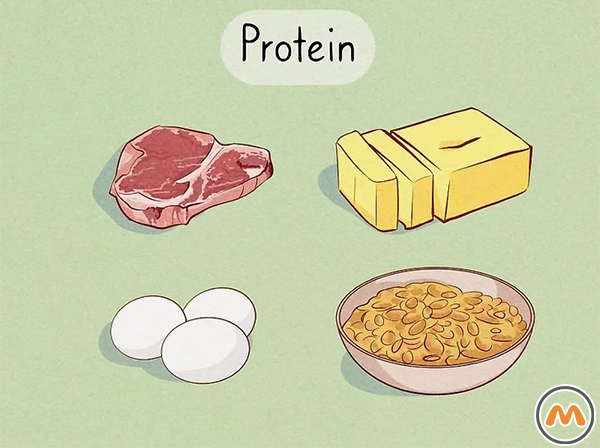 میانوعدههایی که سرشار از پروتئین هستند، برای تقویت ناخنها بخورید