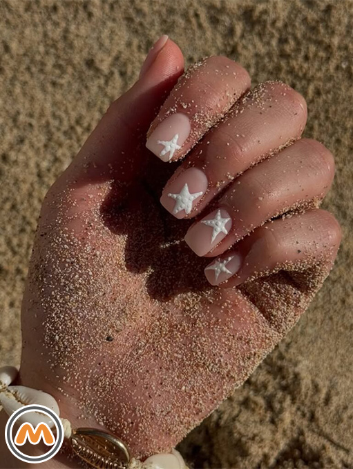 7. WHITE STARFISH ON A SANDY BEACH